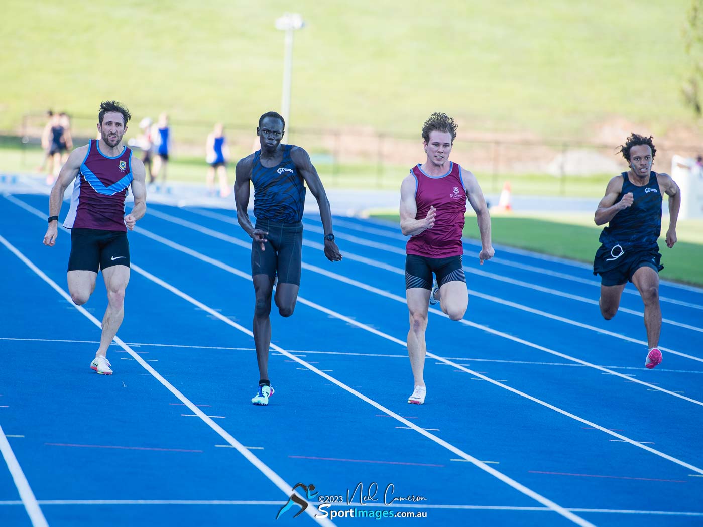 Gout Gout, & Tyler Lilley