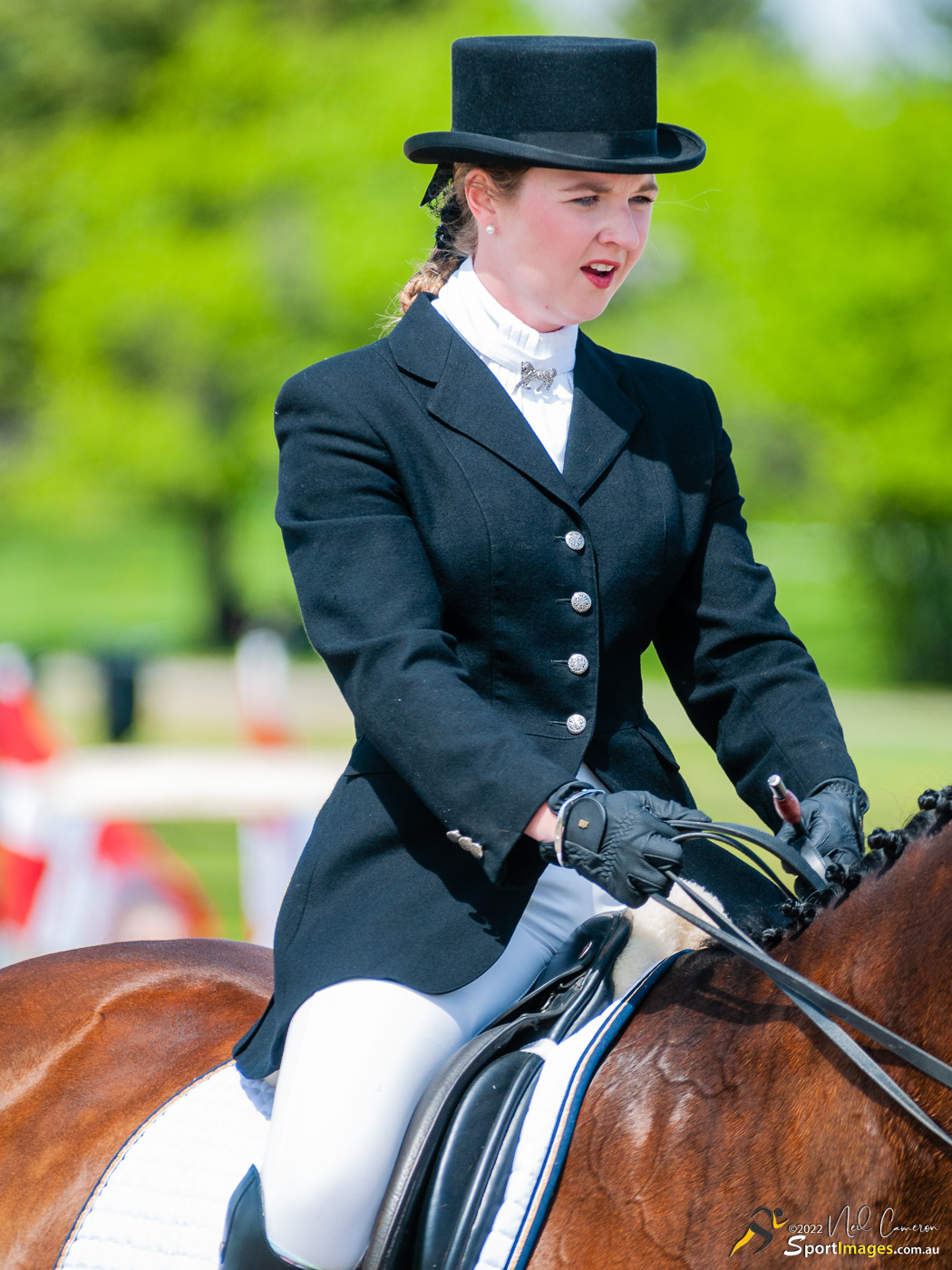 Competitor, Spring Classic Dressage, Ottawa, 2008