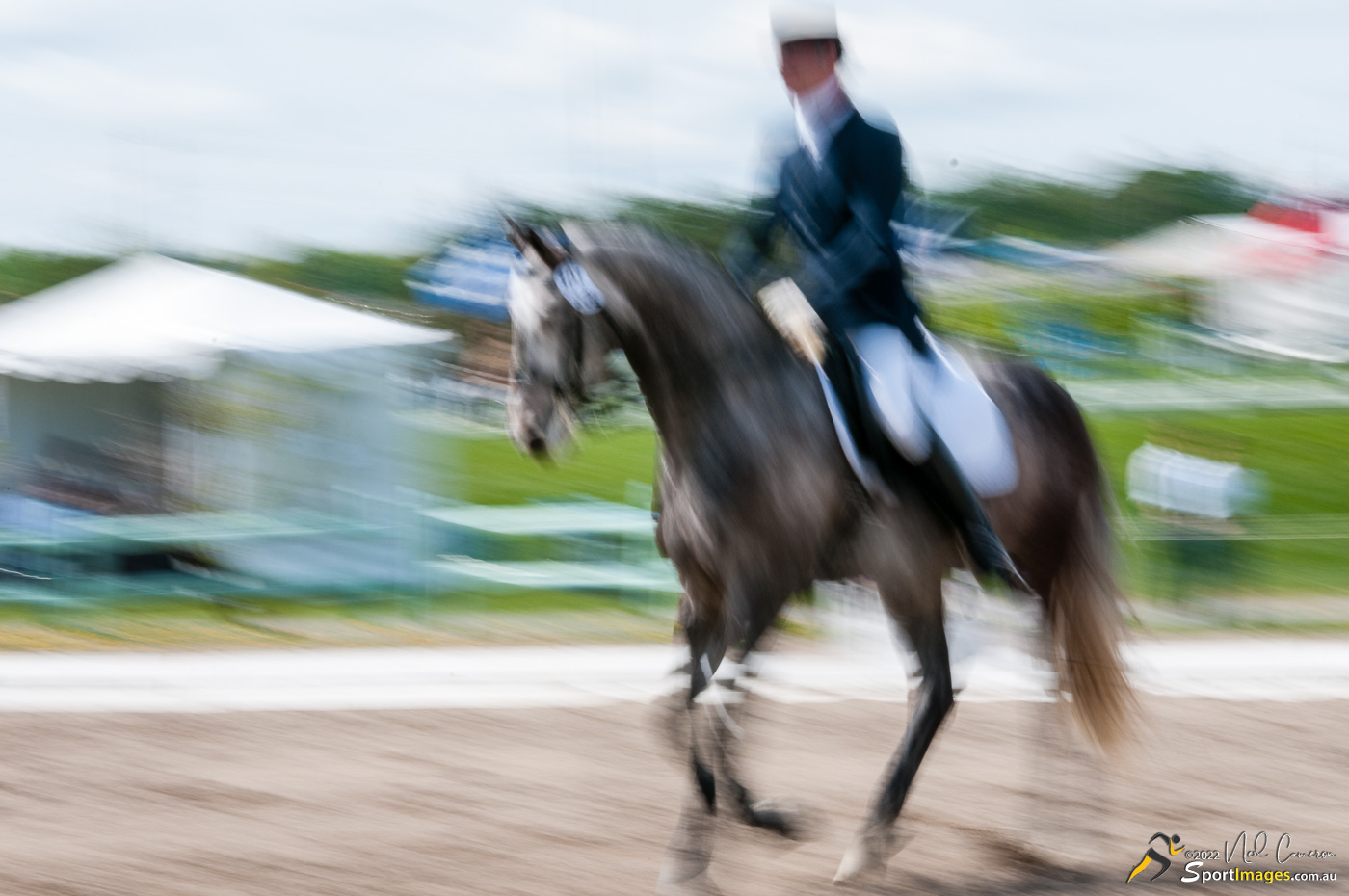 Competitor, Spring Classic Dressage, Ottawa, 2008