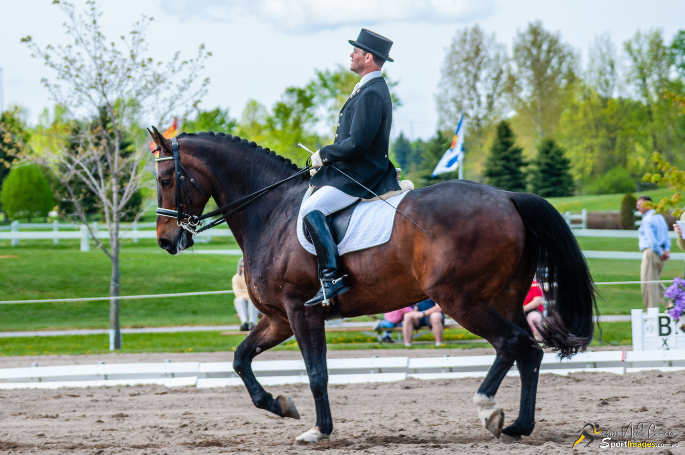 Competitor, Spring Classic Dressage, Ottawa, 2008