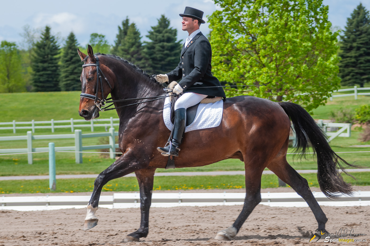 Competitor, Spring Classic Dressage, Ottawa, 2008
