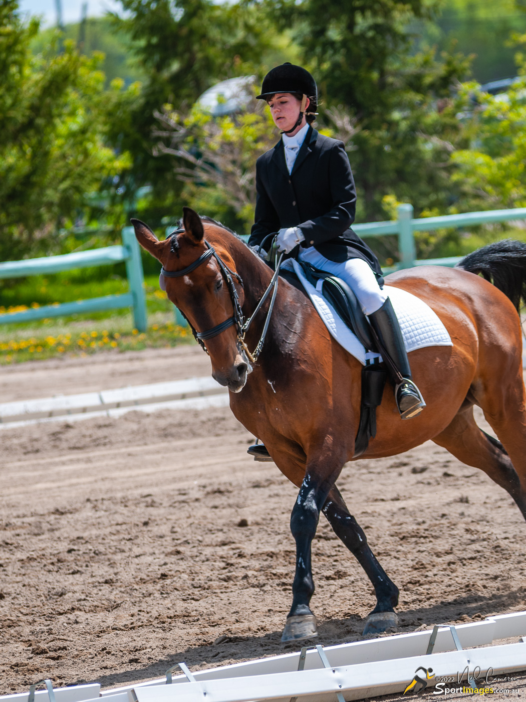 Competitor, Spring Classic Dressage, Ottawa, 2008
