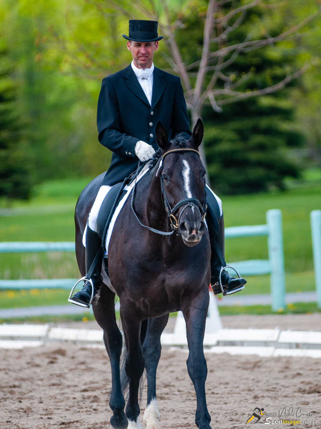 Competitor, Spring Classic Dressage, Ottawa, 2008