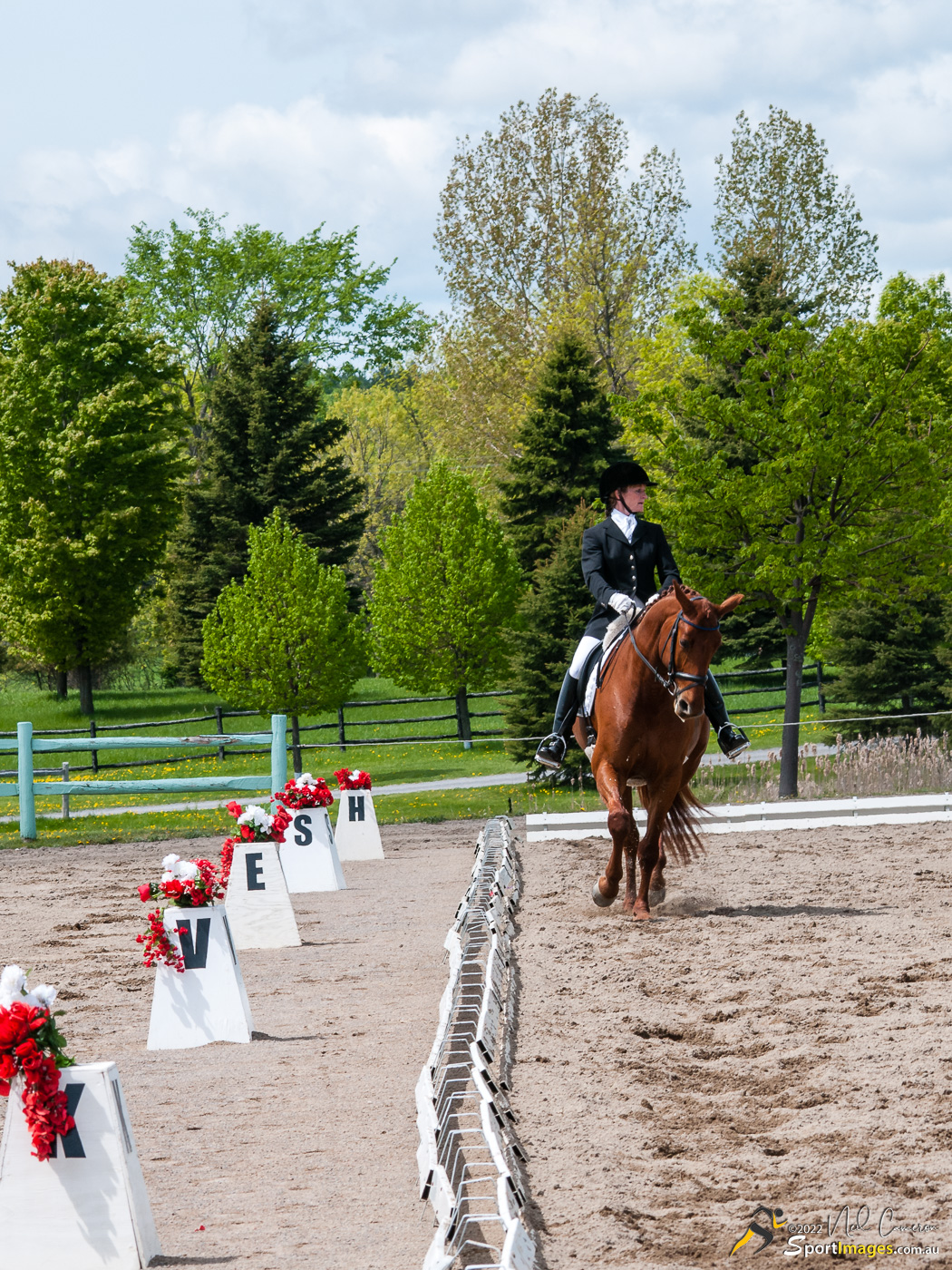 Competitor, Spring Classic Dressage, Ottawa, 2008