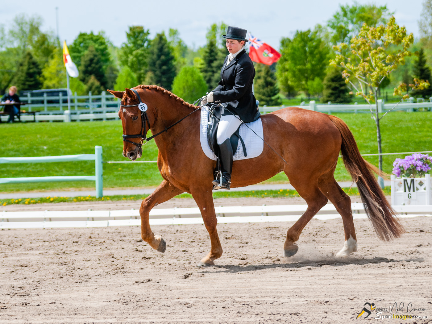 Competitor, Spring Classic Dressage, Ottawa, 2008