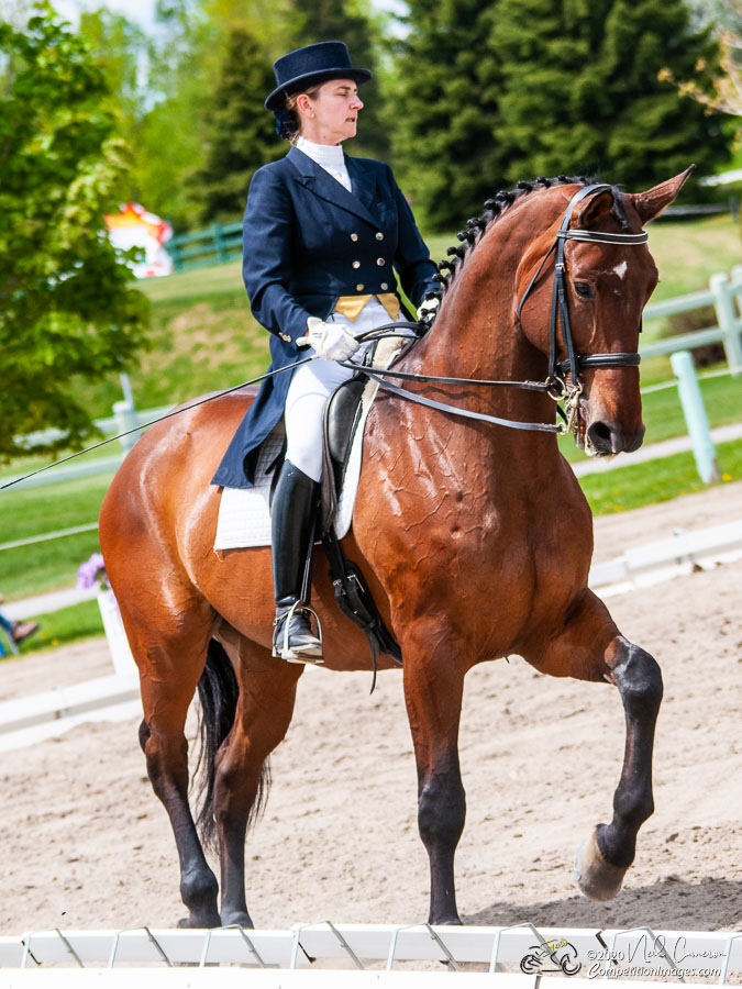 Competitor, Spring Classic Dressage, Ottawa, 2008