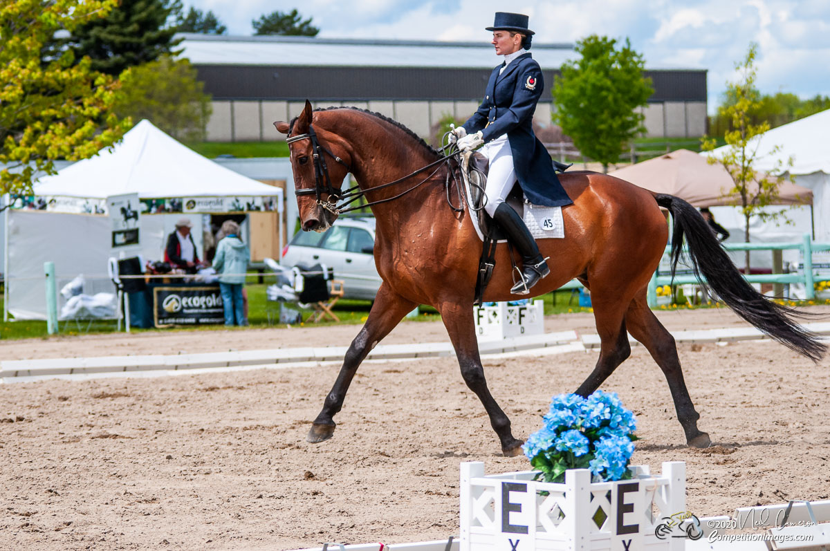 Competitor, Spring Classic Dressage, Ottawa, 2008