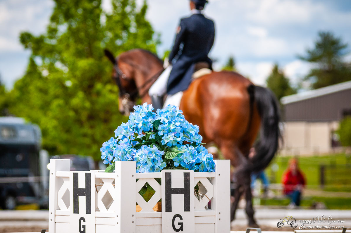 Competitor, Spring Classic Dressage, Ottawa, 2008