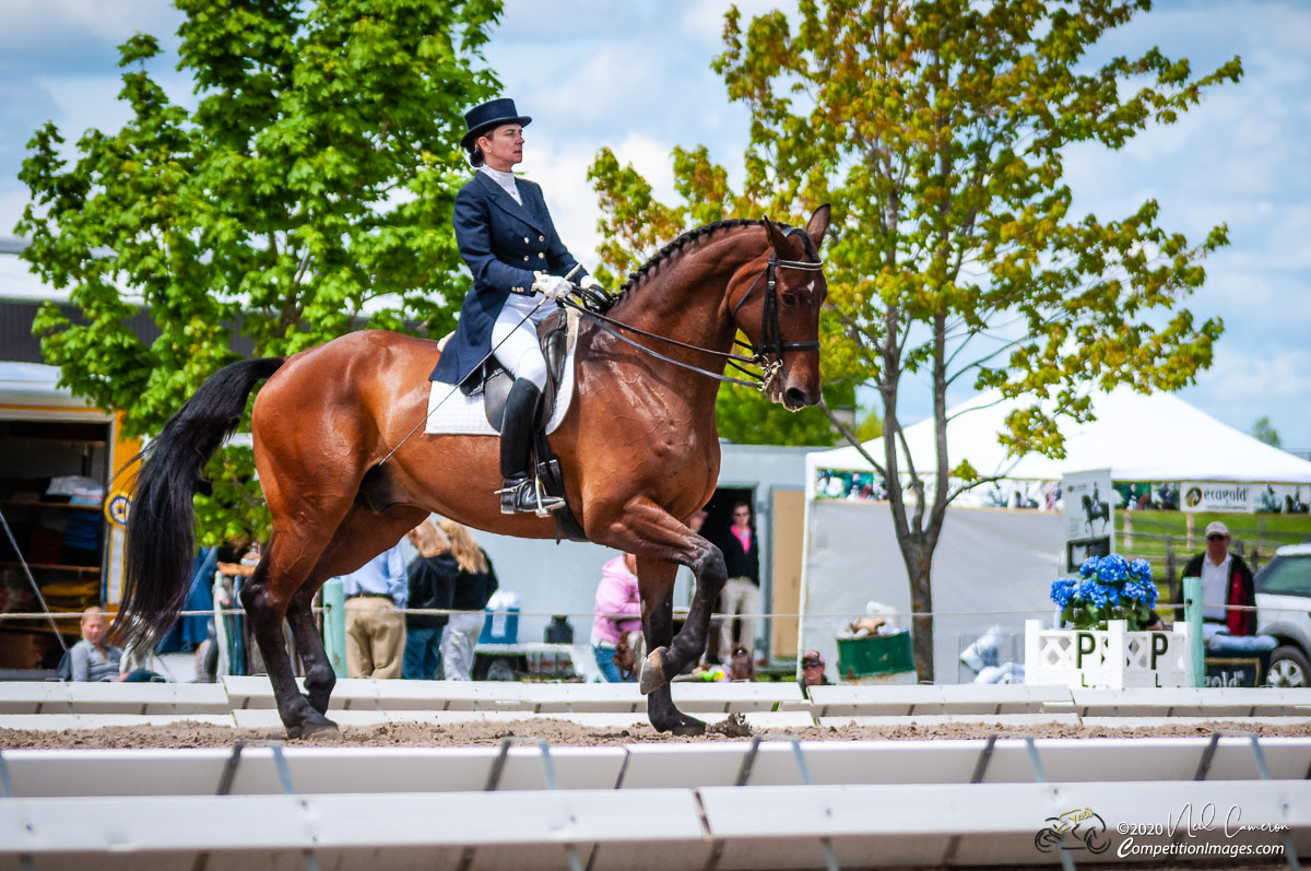 Competitor, Spring Classic Dressage, Ottawa, 2008