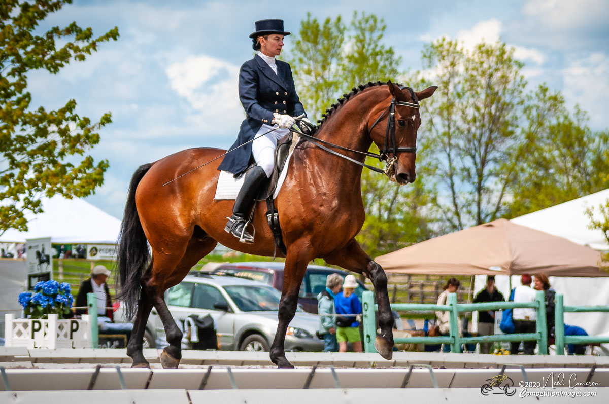 Competitor, Spring Classic Dressage, Ottawa, 2008