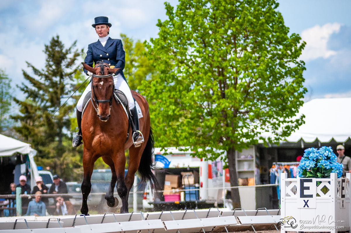 Competitor, Spring Classic Dressage, Ottawa, 2008