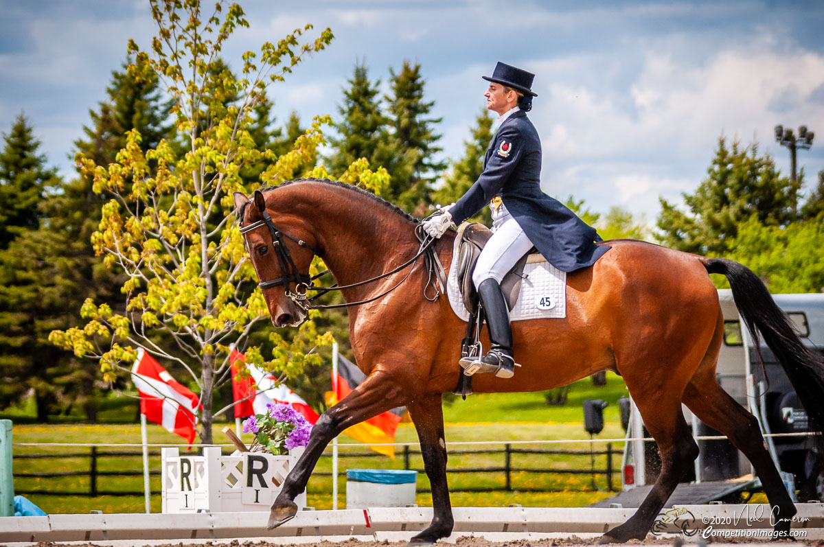 Competitor, Spring Classic Dressage, Ottawa, 2008