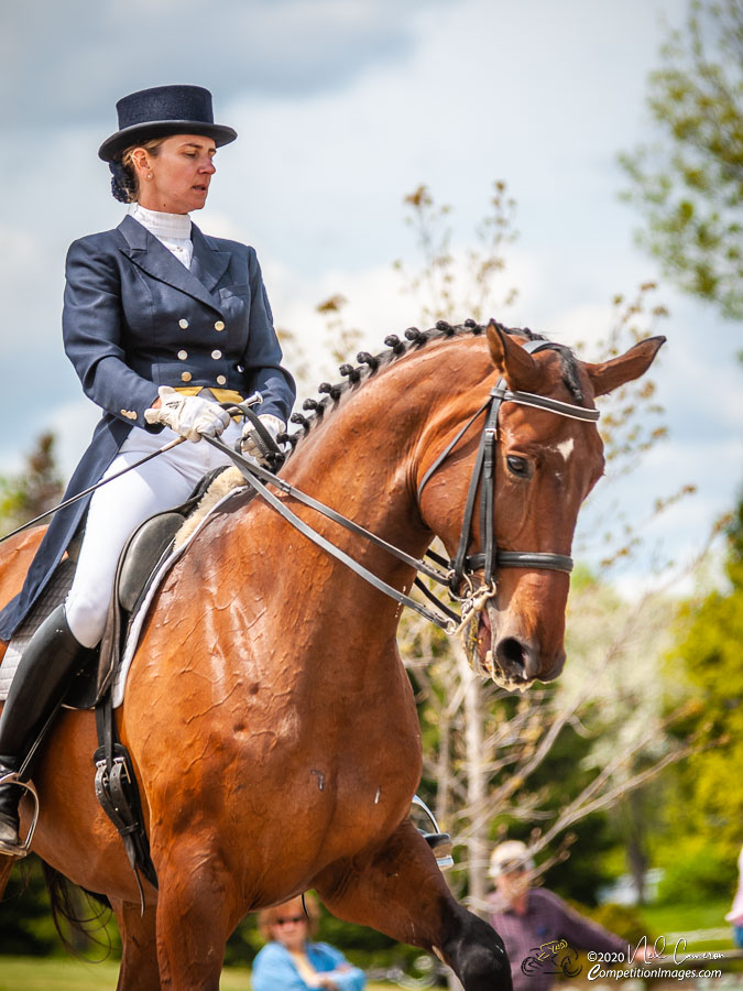 Competitor, Spring Classic Dressage, Ottawa, 2008