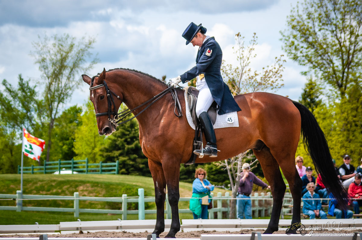 Competitor, Spring Classic Dressage, Ottawa, 2008