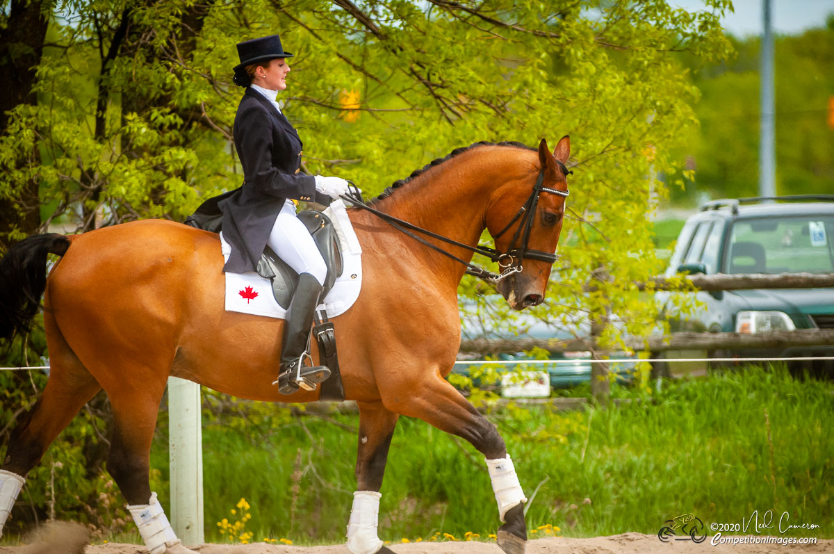 Competitor, Spring Classic Dressage, Ottawa, 2008