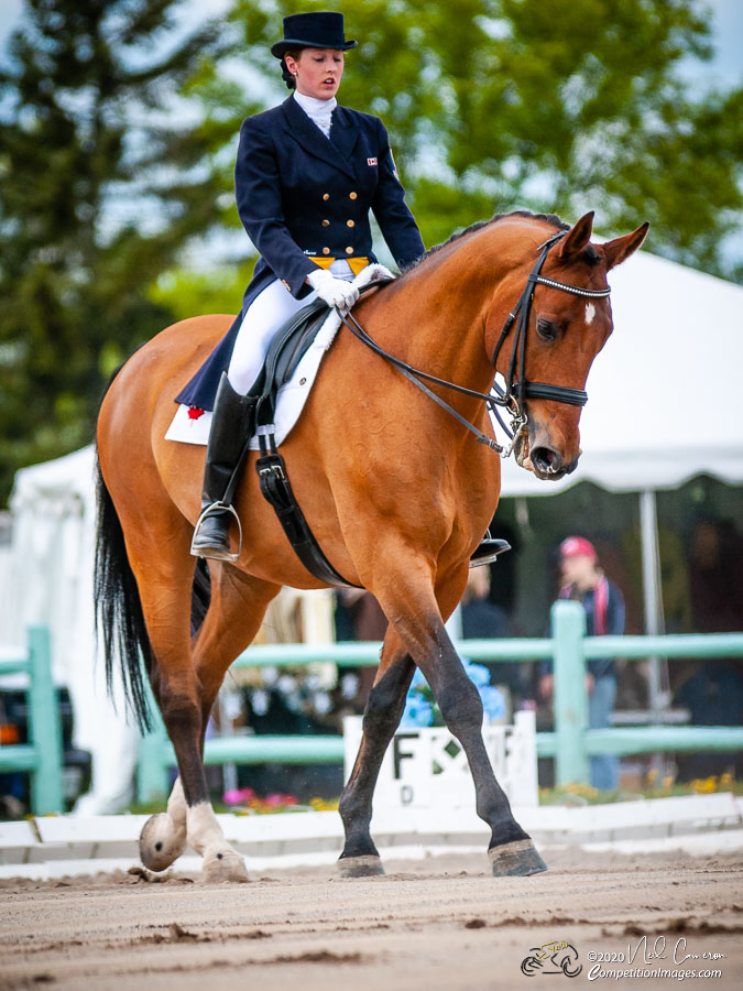 Competitor, Spring Classic Dressage, Ottawa, 2008