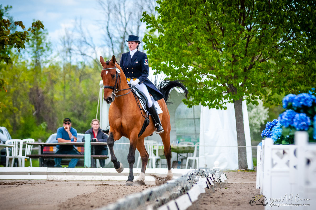 Competitor, Spring Classic Dressage, Ottawa, 2008