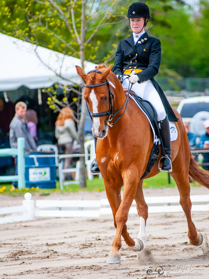 Competitor, Spring Classic Dressage, Ottawa, 2008