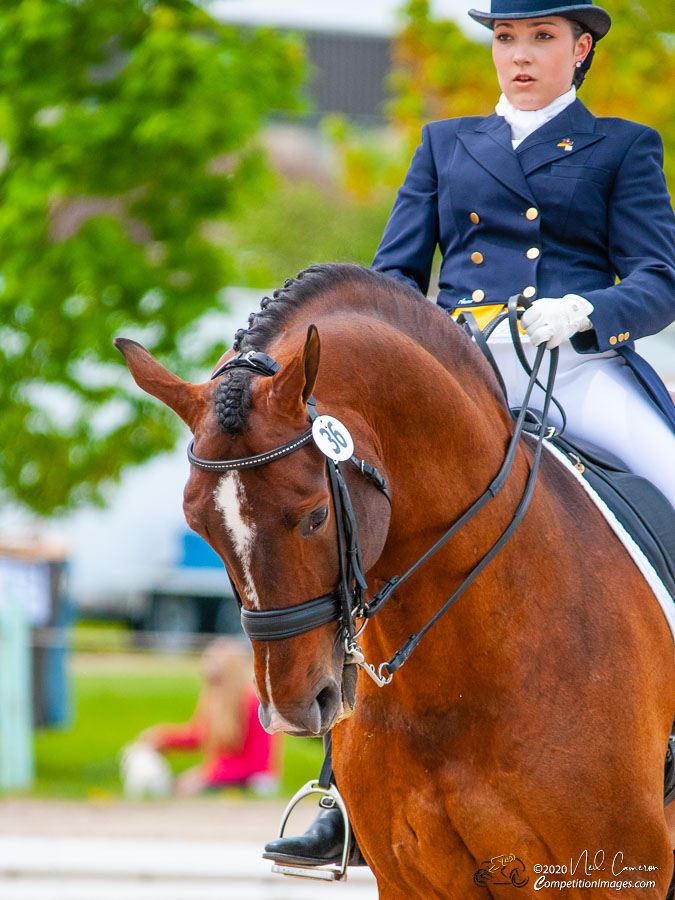 Competitor, Spring Classic Dressage, Ottawa, 2008