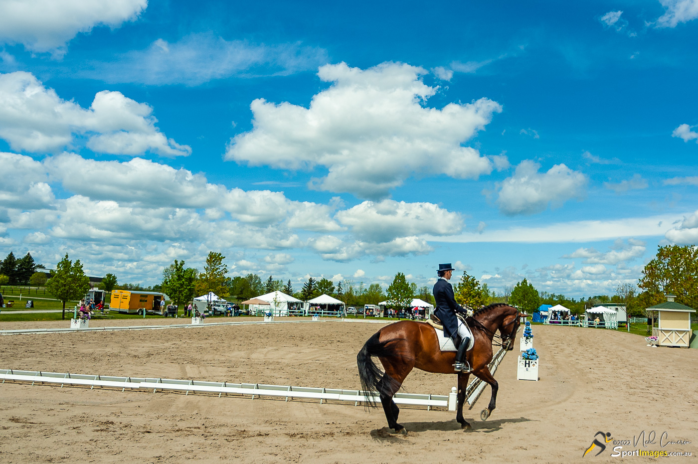 Competitor, Spring Classic Dressage, Ottawa, 2008