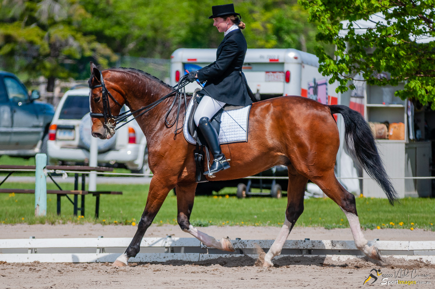 Competitor, Spring Classic Dressage, Ottawa, 2008